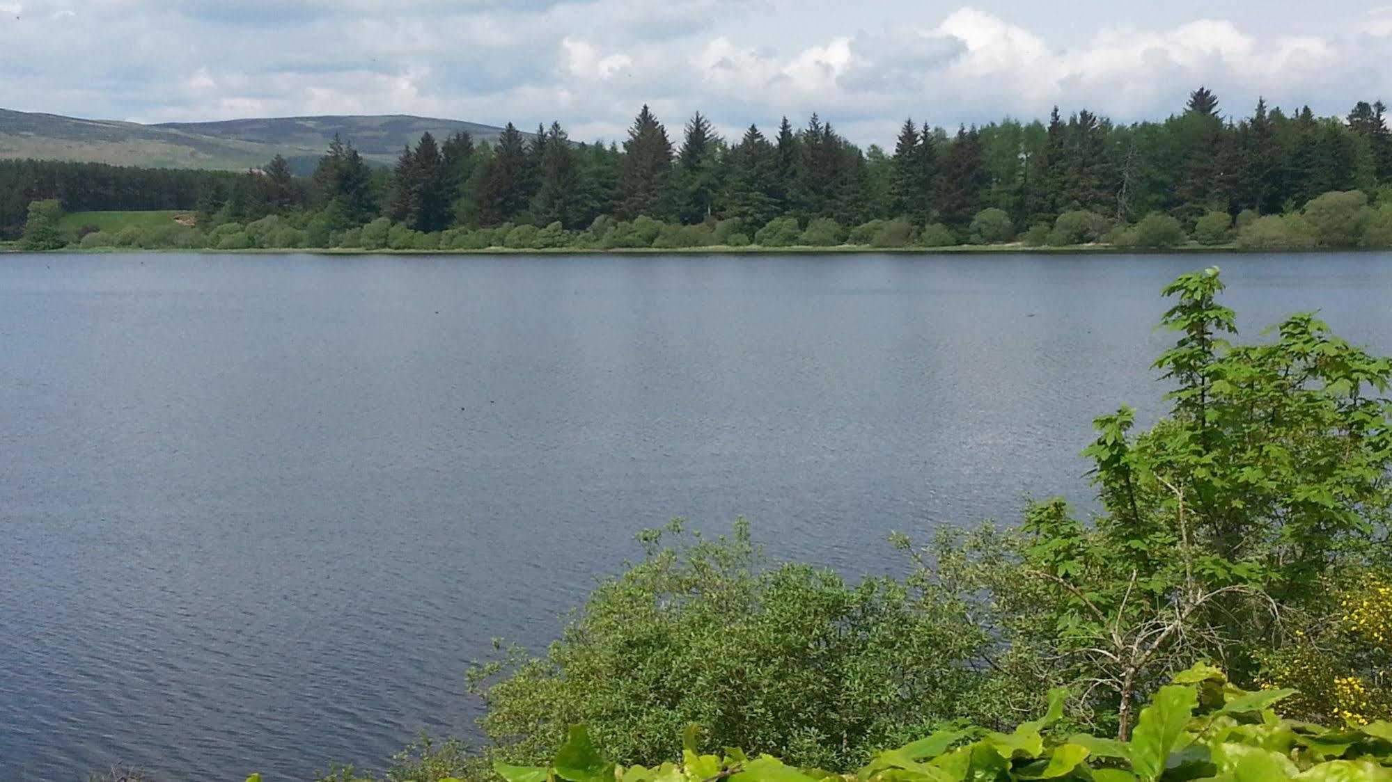 Lodge At Lochside Bridgend of Lintrathen Dış mekan fotoğraf